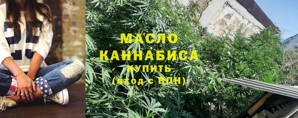 тгк Абаза