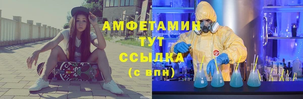 тгк Абаза