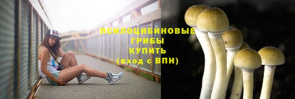 соль курить ск Гусев