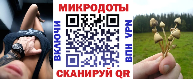 Псилоцибиновые грибы прущие грибы  кракен зеркало  Иркутск 